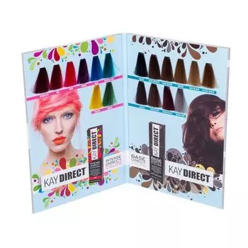 Kaypro Kay Direct - Палитра