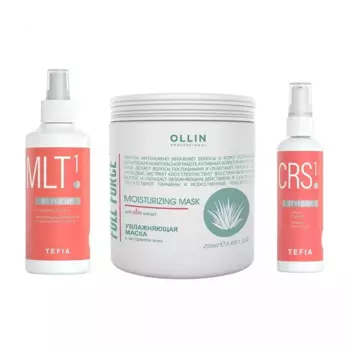 Набор "Бюджетный комплексный уход для волос", 3 средства