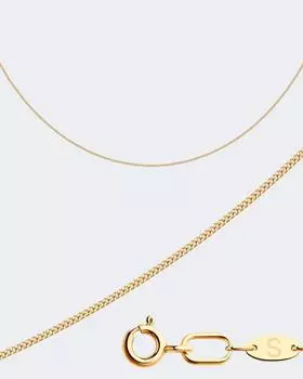 Цепь из золота Sokolov