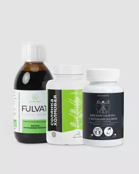 Детокс-программа