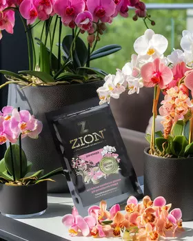 Набор для выращивания орхидей