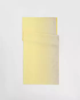 Полупрозрачный элегантный шарф