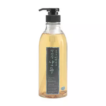 Шампунь для волос Whamisa Organic Seeds Shampoo Subacidity For Oily Scalp