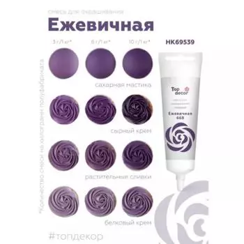 Краситель гелевый 100 г Ежевичный