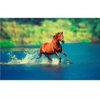 Съедобная картинка на торт Лошадка на озере