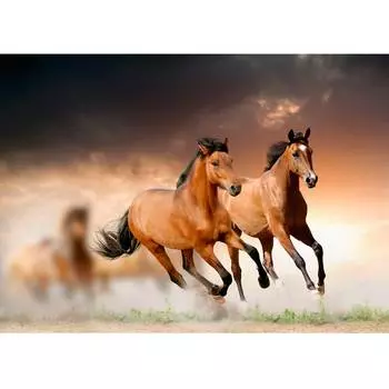 Съедобная картинка на торт Табун лошадей