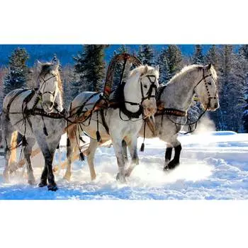 Съедобная картинка на торт Тройка в зимней упряжке