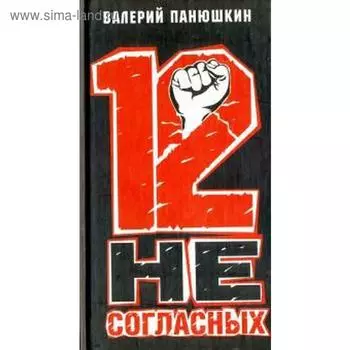 12 несогласных. Панюшкин В.