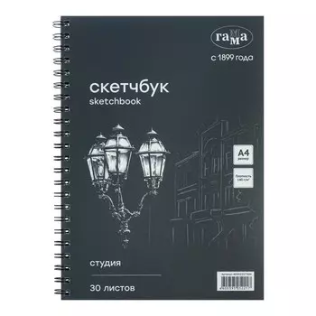 Альбом для графики А4, 210 х 297 Гамма, "Студия" 30 листов, на гребне 140г/м, черный