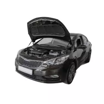 Амортизаторы капота "АвтоУПОР", Kia Cerato 2013-2018, 2 шт., UKICER012