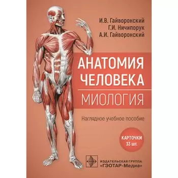 Анатомия человека. Миология. Карточки. Наглядное учебное пособие. Гайворонский А.И., Гайворонский И.В., Ничипорук Г.И.