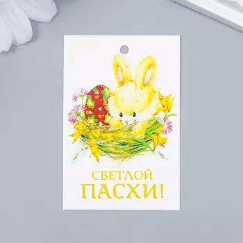 Бирка "Желтыш" 4х6 см