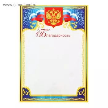 Благодарность "Символика РФ" синяя рамка, бумага, А4