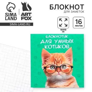 Блокнот 1010, 16 л. в клетку «Кот»