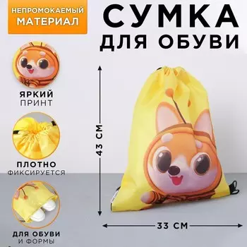 Мешок для обуви «Давай дружить» 30 х 40 см