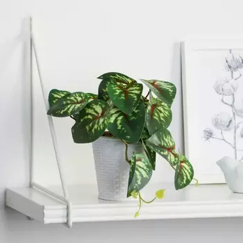 Искусственный цветок в горшке «Сингониум ред», 917 см