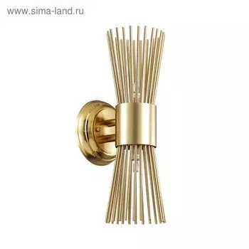 Бра Dorta, 2x40Вт G9, цвет золото