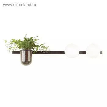 Бра Flower, 2x40Вт E14, цвет чёрный