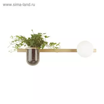 Бра Flower, 40Вт E14, цвет золото