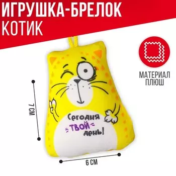 Брелок-антистресс «Сегодня твой день!», кот, 6х7 см