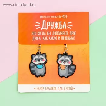 Брелоки парные «Еноты» набор, 2 шт., 11 х 17,5 см.