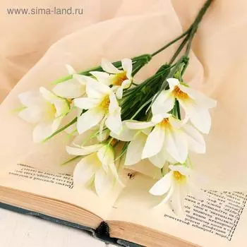 Букет «Альстрёмерия», 28 см, МИКС