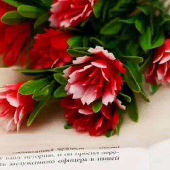 Букет «Арктотис», h=25 см, МИКС