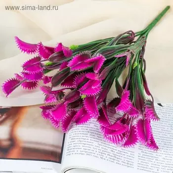 Букет «Дионея», 32 см, МИКС
