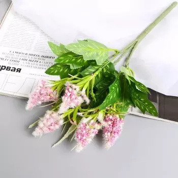 Букет искусственный «Пушица мимоза», 30 см, МИКС