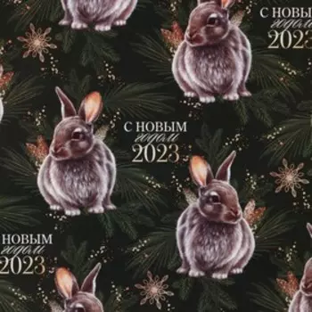 Бумага упаковочная глянцевая «2023», 70 х 100 см
