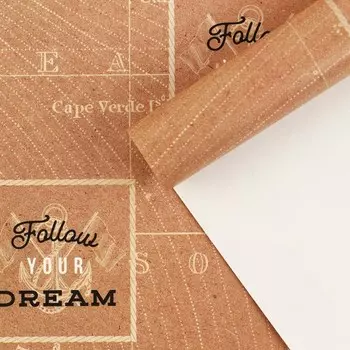 Бумага упаковочная глянцевая «Follow your dream», 60 90 см