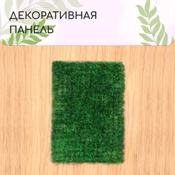 Декоративная панель, 6040 см, «Аспарагус», Greengo