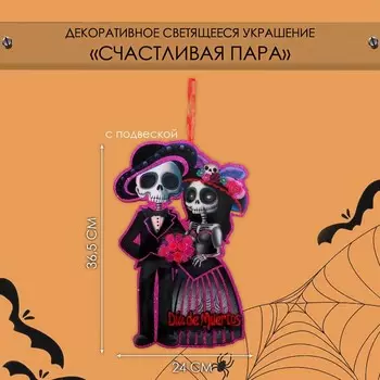 Декоративная светящаяся подвеска - украшение «Счастливая пара», 36,524 см