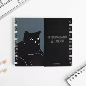 Двойной блокнот «Не отвлекай меня от лени»