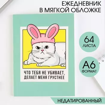 Ежедневник А6, 64 листа, «Кот»