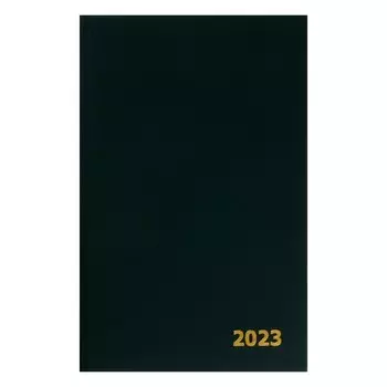 Ежедневник датированный 2024 года А5 168 листов, бумвинил, Зеленый