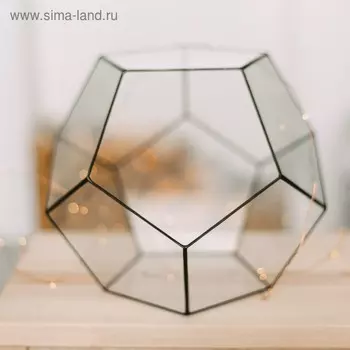 Флорариум «Мячик», малый, стекло, швы чёрные