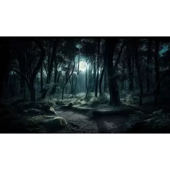Фотобаннер, 250 150 см, с фотопечатью, люверсы шаг 1 м, «Полнолуние», Greengo
