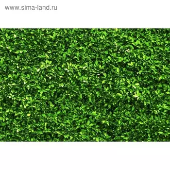 Фотобаннер, 250 150 см, с фотопечатью, люверсы шаг 1 м, «Зелёная изгородь», Greengo