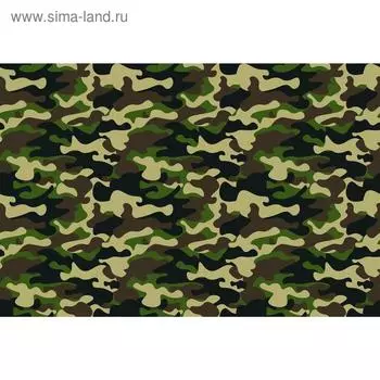 Фотобаннер, 250 200 см, с фотопечатью, люверсы шаг 1 м, «Камуфляж 2», Greengo