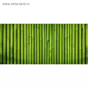 Фотобаннер, 250 200 см, с фотопечатью, люверсы шаг 1 м, «Бамбук», Greengo
