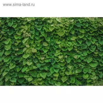 Фотобаннер, 250 150 см, с фотопечатью, люверсы шаг 1 м, «Зелёная стена», Greengo