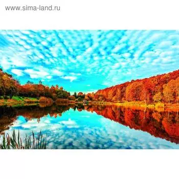 Баннер на забор, 250200 см, с фотопечатью, люверсы шаг 1 м, «Осень на реке», Greengo