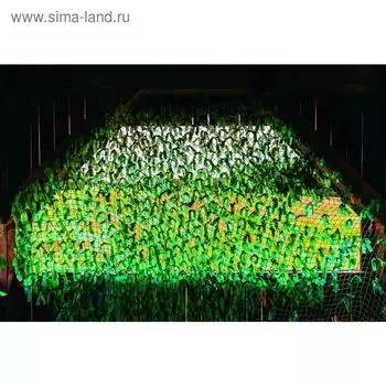 Фотобаннер, 250 200 см, с фотопечатью, люверсы шаг 1 м, «Сетка камуфляж», Greengo