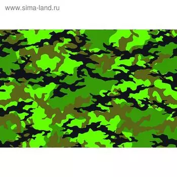Фотобаннер, 300 200 см, с фотопечатью, люверсы шаг 1 м, «Камуфляж 6», Greengo