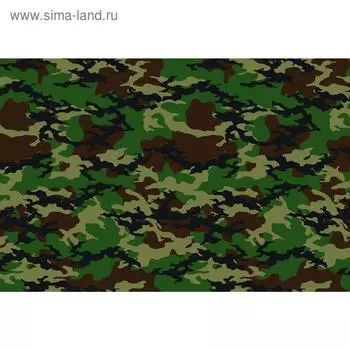 Фотобаннер, 300 200 см, с фотопечатью, люверсы шаг 1 м, «Камуфляж 7», Greengo