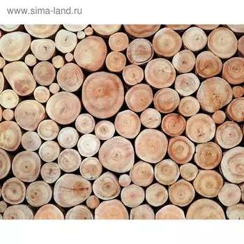 Фотобаннер, 300200 см, с фотопечатью, люверсы шаг 1 м, «Поленница», Greengo