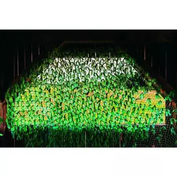 Фотобаннер, 300 200 см, с фотопечатью, люверсы шаг 1 м, «Сетка камуфляж», Greengo
