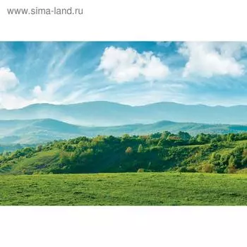 Фотосетка, 300 200 см, с фотопечатью, люверсы шаг 1 м, «Луг и облака», Greengo