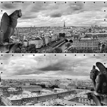 Фотосетка, из двух полотен по 314 155 см, с фотопечатью, люверсы шаг 0.3 м, «Вид на Париж»